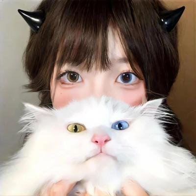 圣特鲁佩斯的警察国语